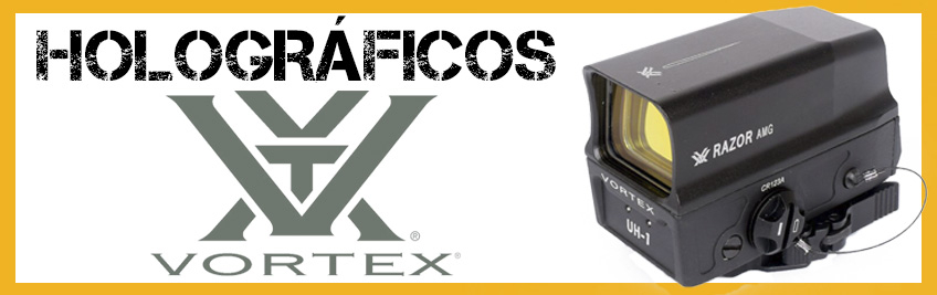 holograficos vortex