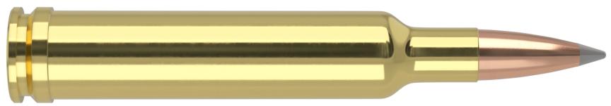 Munición Nosler 270 Weatherby MAgnum