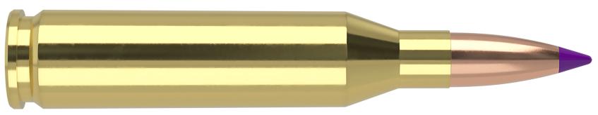 Municion Nosler 243 Win