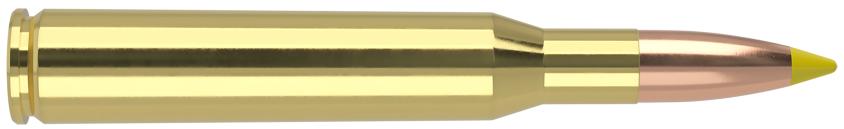 Municion nosler 270 win ballistic tip hunting