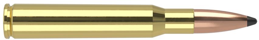 municion nosler trophy grade 30-06