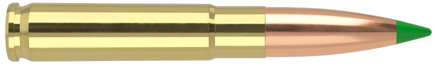 Municion Nosler 300 blk ballistic tip 125 gr