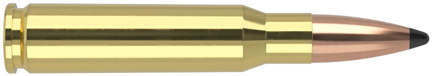 Munición de caza Nosler 308 Win Partition trophy 165gr