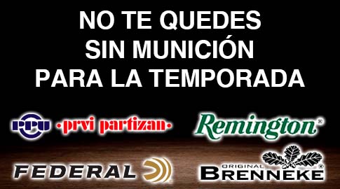 municion