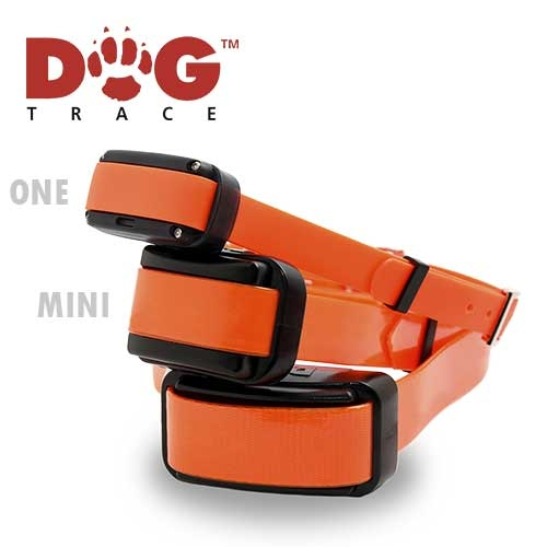 Válido para 2 perros con collar adicional