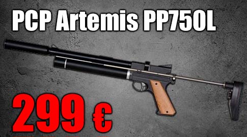 Carabina Ruger PC