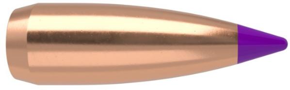 puntas nosler 6mm nosler ballistic tip 55gr