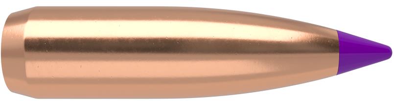 Puntas Nosler 6mm Ballistic TIP Varmint 80gr