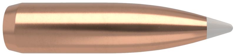 puntas nosler 22 Accubond SP 70gr