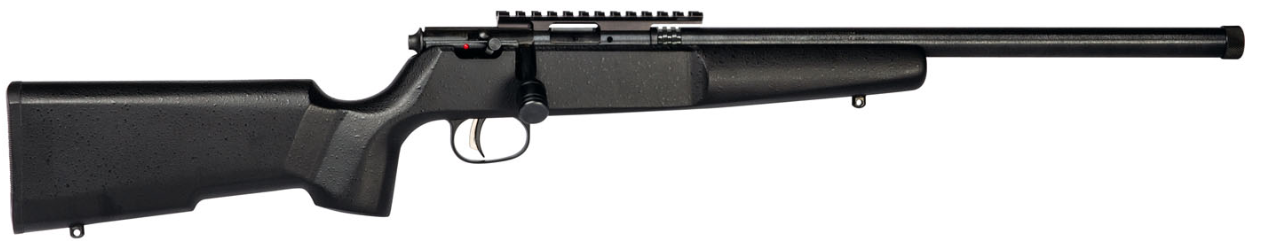 savage rascal target 22lr